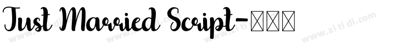 Just Married Script字体转换